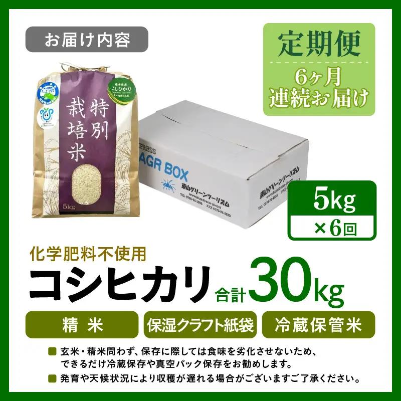 【先行予約】【令和8年産】【定期便6回】 化学肥料不使用コシヒカリ 精米 5kg×6回 （計30kg）/ 白米 米 福井県あわら市産 美味しい 特別栽培米 減農薬 安心な米 旨味 甘み もっちり エコ