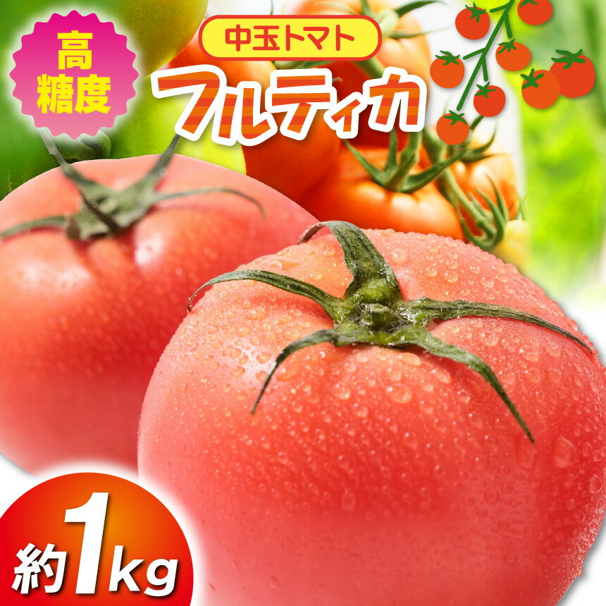 【ふるさと納税】高糖度 中玉トマト 約1kg | 小林園芸 フルティカ 野菜 トマト ミニトマト とまと 調布 東京都 送料無料