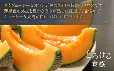 【先行予約】 クインシーメロン 約3kg メロン めろん くいんしー 赤肉 フルーツ くだもの 熊本 九州産 青肉 人気 おすすめ 甘い 濃厚 高糖度 家庭用 自宅用 産地直送 国産 くまふる 【20
