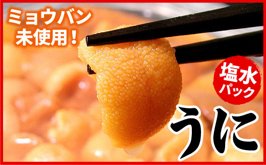 B-07019【年内配送可】 エゾバフンウニ(黄色)塩水パック70g×1P[10月下旬以降発送]