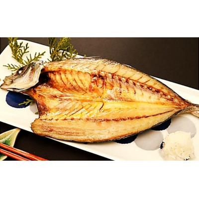 ふるさと納税 安芸市 田渕水産の青アジのひらき |  | 01