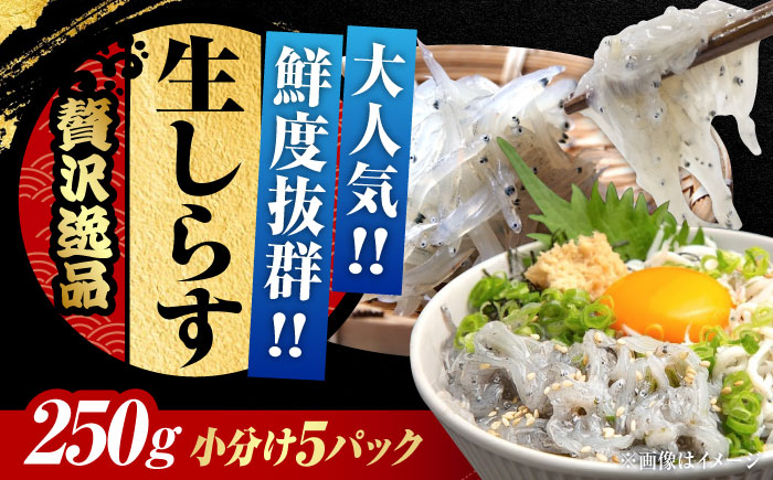 生しらすのプリッした食感と塩味が抜群！生しらす50gX5個 冷凍 シラス 鮮魚 ギフト 海鮮丼 広島県産 江田島市/三島水産株式会社 [XCN002] お肉・魚介