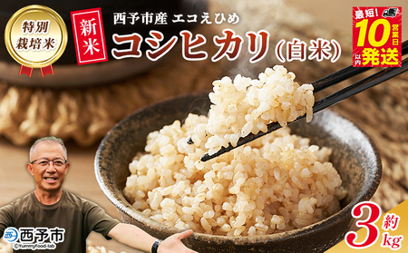 ＜令和7年産 西予市産 特別栽培米 エコえひめ コシヒカリ 玄米 約3kg＞国産 農薬・化学肥料不使用 一等米 3キロ 愛媛県産 こしひかり お米 米 コメ げんまい 産地直送 送料無料 シゲちゃん農園 愛媛県 西予市【常温】『最短10営業日以内に順次発送予定』NSN0002