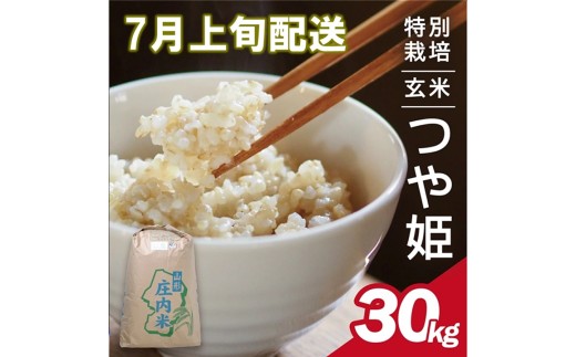 7月上旬配送／令和7年産【玄米】特別栽培米 つや姫　30kg×1袋〈太ももの会〉 FU SG0134