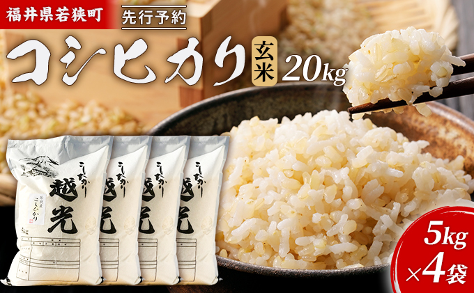 令和8年産福井県若狭町コシヒカリ（一等米）玄米 20kg（神谷農園） 5kg×4袋 お米 ブランド米 銘柄米 ご飯 おにぎり お弁当 産地直送 和食 主食