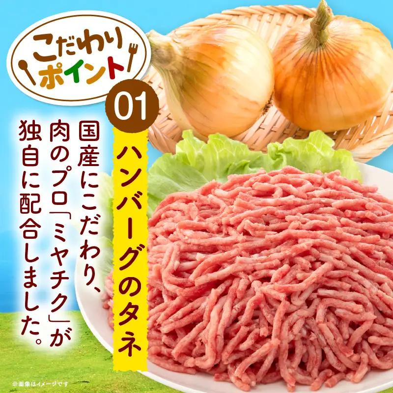 ハンバーグ デミグラス ハンバーグ[合挽デミグラスソースハンバーグ30個 ランキング 人気 惣菜 小分け おすすめ 肉 豚 牛 合挽 豚肉 牛肉 お肉 ミヤチク デミグラスハンバーグ お弁当 冷凍 お