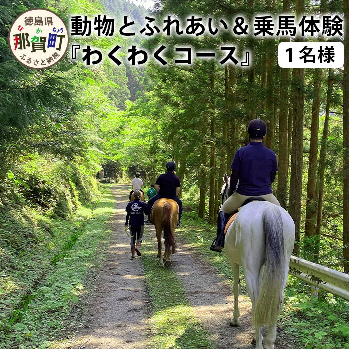 【ふるさと納税】動物ふれあい＆乗馬体験 『わくわくコース』約30分 1名【徳島県 那賀町 乗馬 馬 動物 体験チケット 体験型 観光乗馬 ふれあい 観光 旅行 遊び アクティビティ お出かけ レジャー アウトドア アニマルセラピー 癒し リフレッシュ クラブコルツ】CC-2