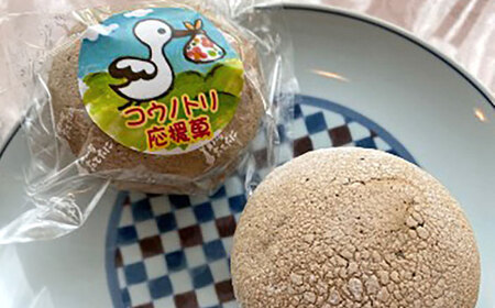 慶応元年創業・老舗菓子店【菓子工房たてたに】の銘菓詰め合わせセット　B