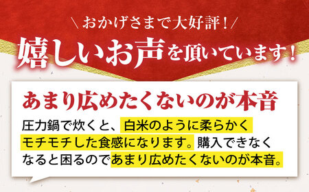 【先行予約】令和7年産 新米 ヒヨクモチ 玄米 15kg【かづやの農園】 [HAP006]もち米 餅