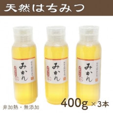 竹内養蜂の蜂蜜1種(みかん3本) 各400g プラスチック便利容器