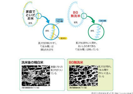 BG無洗米コシヒカリ 5kg×3ヵ月 定期便 [毎月] 令和7年産 愛を米 時短 BG 無洗米 こしひかり 島根県産 新生活応援 お試し 節水 アウトドア キャンプ 東洋ライス  【価格改定X】【45
