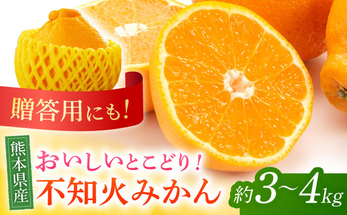 
            【先行予約】不知火 みかん 約3kg〜4kg 果物 化粧箱入り 贈答用【株式会社 鹿本町振興公社（水辺プラザ鹿本）】 [ZEG003]
          