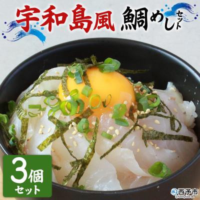 ふるさと納税 西予市  <愛媛の鯛めし宇和島風3個セット真鯛YNコーポレーション>