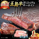 【ふるさと納税】A4 A5ランク 五島牛 サーロインステーキ1kg (250g×4枚) 五島市/肉のマルヒサ [PCV055]