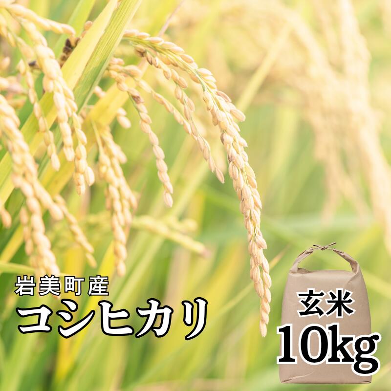 【ふるさと納税】岩美町太田産コシヒカリ（玄米）10kg｜鳥取 岩美 お米 こしひかり【31032】