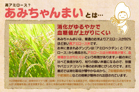 グルテンフリー！米粉で作ったもっちりシフォンケーキ　生姜味（4～6人分）