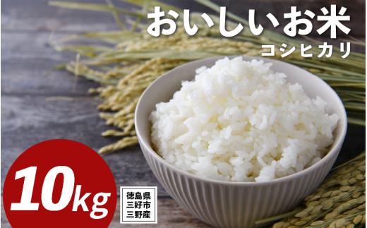 米 令和7年産 新米 10kg コシヒカリ 米 こめ お米 ご飯 ごはん おにぎり こしひかり 白米 精米 ギフト 贈答 プレゼント グルメ 送料無料 徳島県 三好市 みよし 篠原農園