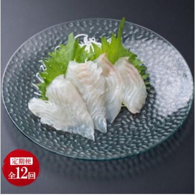 ふるさと納税 壱岐市 【毎月定期便】地下海水育ち「ヒラメフィレ」(冷凍発送)全12回