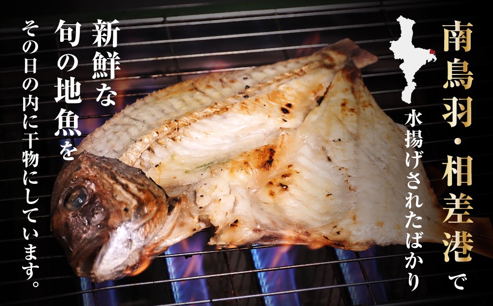 定番のあじ、カマスの干物と地魚などの自家製ひもの詰め合わせセット
