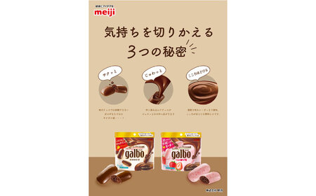 明治 ガルボチョコ パウチ 59g×48袋セット 丸正高木商店[AOAA028] チョコレートチョコレートチョコレートチョコレートチョコレート