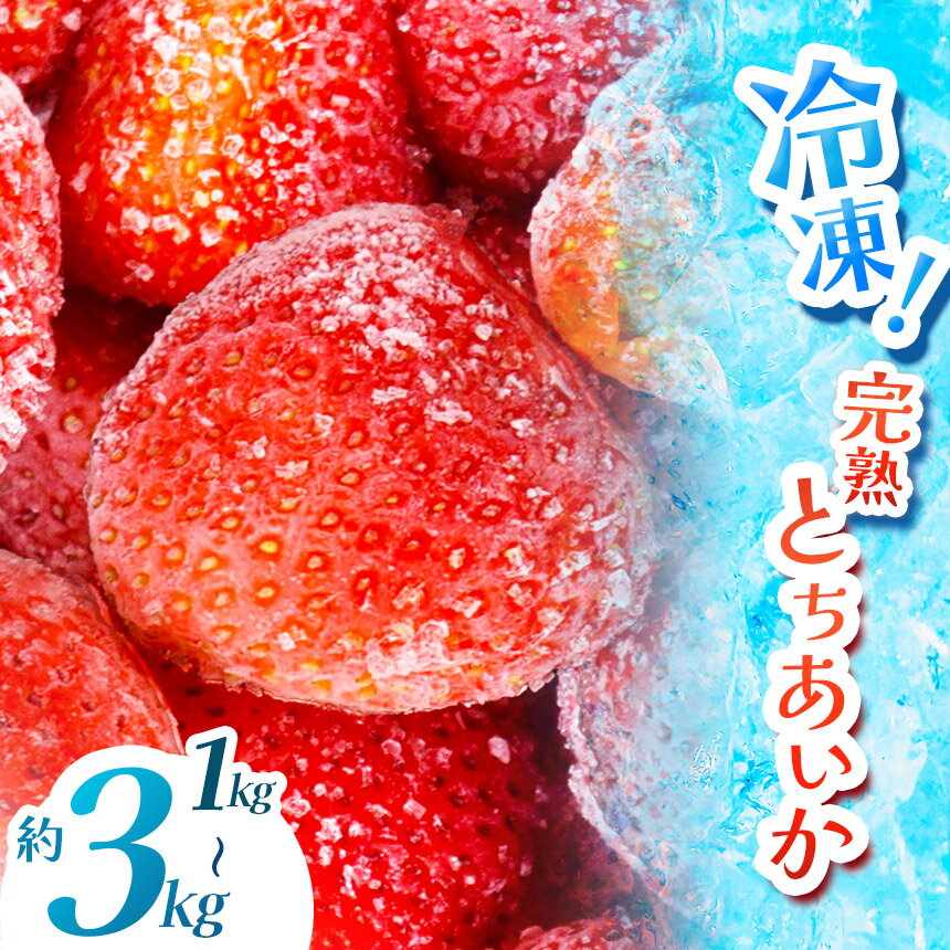 【ふるさと納税】 限定 選べる 定期便 完熟 冷凍 とちあいか いちご イチゴ 苺 フルーツ 果物 1kg 2kg 3kg 訳あり 不揃い | 選べる 冷凍 スイーツ ジャム スムージー たっぷり 大粒 甘い 美味しい デザート 人気急上昇 スーパーセール 安い お買い得 栃木県 真岡市 送料無料
