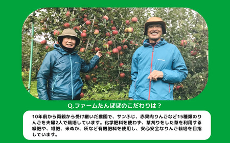 りんご サンふじ 訳あり 5kg ファームたんぽぽ 沖縄県への配送不可 2024年12月上旬頃から2024年12月下旬頃まで順次発送予定 令和6年度収穫分  長野県 飯綱町 [1473]