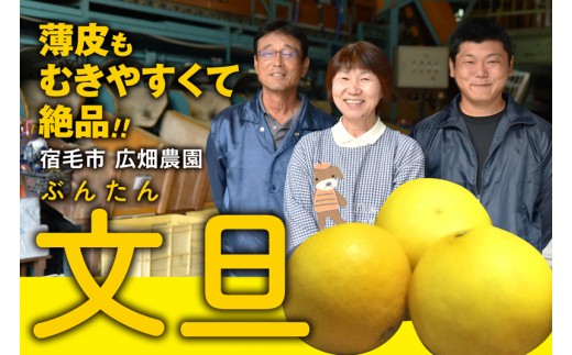 広畑農園の土佐文旦5kg家庭用