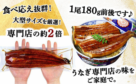 国産 うなぎ 蒲焼き（無頭 約180g前後）×3尾 タレ＆山椒付 贈答用BOX入り[024-a371]
