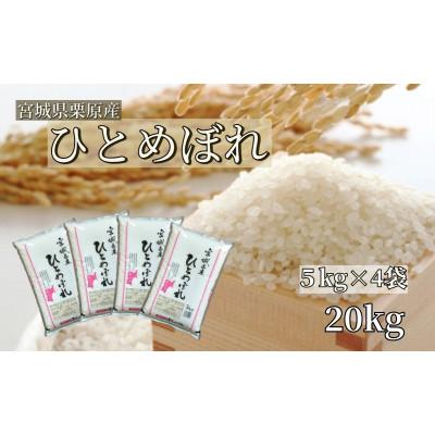 ふるさと納税 栗原市 【令和7年産】宮城栗原産 ひとめぼれ 白米20kg (5kg×4袋)
