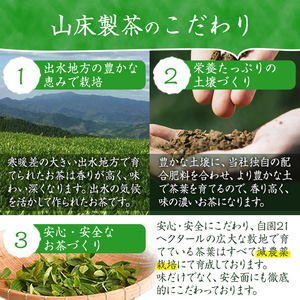 i1018 水出し茶・緑茶・ほうじ茶ティーバッグ(計6袋・各2袋×25個入) お茶 緑茶 国産 日本茶 ほうじ茶 水出し茶 水出し グリーンティー tea ギフト プレゼント 詰め合わせ 常温 常温保