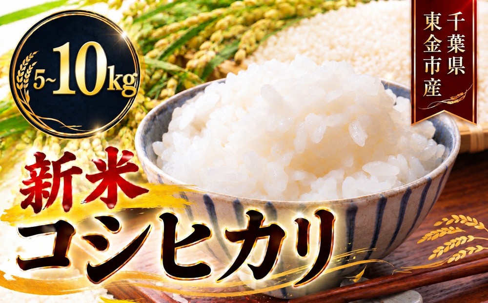 
                  新米 こしひかり 5kg ~10kg 米 お米 こめ コメ コシヒカリ 8年度産 千葉県産 kome okome 千葉県産こしひかり 千葉県産コシヒカリ こしひかり コシヒカリ 千葉県こしひかり 千葉県 コシヒカリ 精米 白米 ご飯 ごはん 国産 ※ ブランド米 甘い ツヤ ギフト 甘み 粘り 香り リピート kosihikari 農家直送 数量限定 産地直送 前嶋商店 千葉県 東金
                
