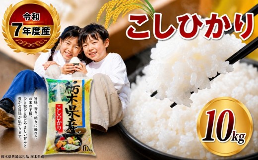 【栃木県共通返礼品】【令和7年度産】 栃木県産 こしひかり 白米 10kg （5kg×2袋） | 発送 ふるさと 納税 コシヒカリ お米 精米 白米 玄米 大粒 共通返礼品 送料無料 那珂川町 栃木県