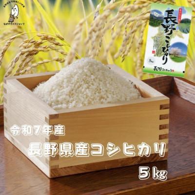 ふるさと納税 千曲市 令和7年長野県産 こしひかり 白米5キロ