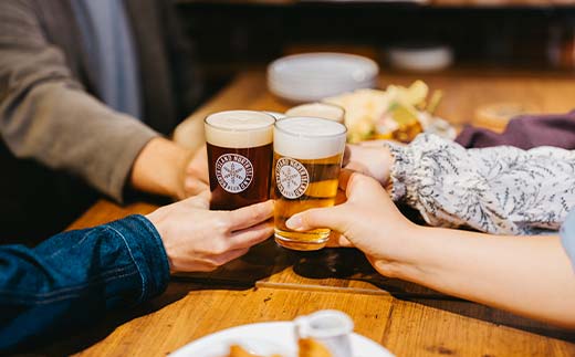 ノースアイランドビール5種12本セット