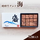 【ふるさと納税】チョコレート 焼酎 生チョコ 「海」12個入り チョコ ※配送不可：北海道、沖縄、離島