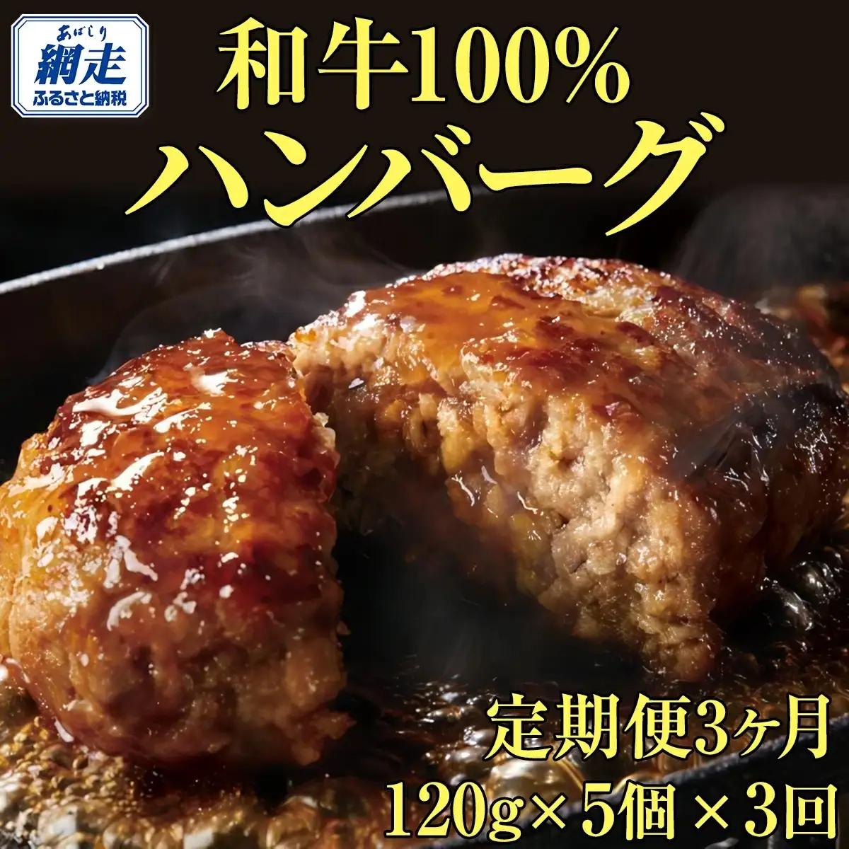 ＜網走産＞【3ヶ月定期便】【オホーツクあばしり和牛】ハンバーグ・総重量 600g（120g×5個）×3ヶ月 【 ふるさと納税 人気 おすすめ ランキング 牛ハンバーグ オホーツクあばしり和牛 和牛100% 北海道 網走市 送料無料 】 ABW015