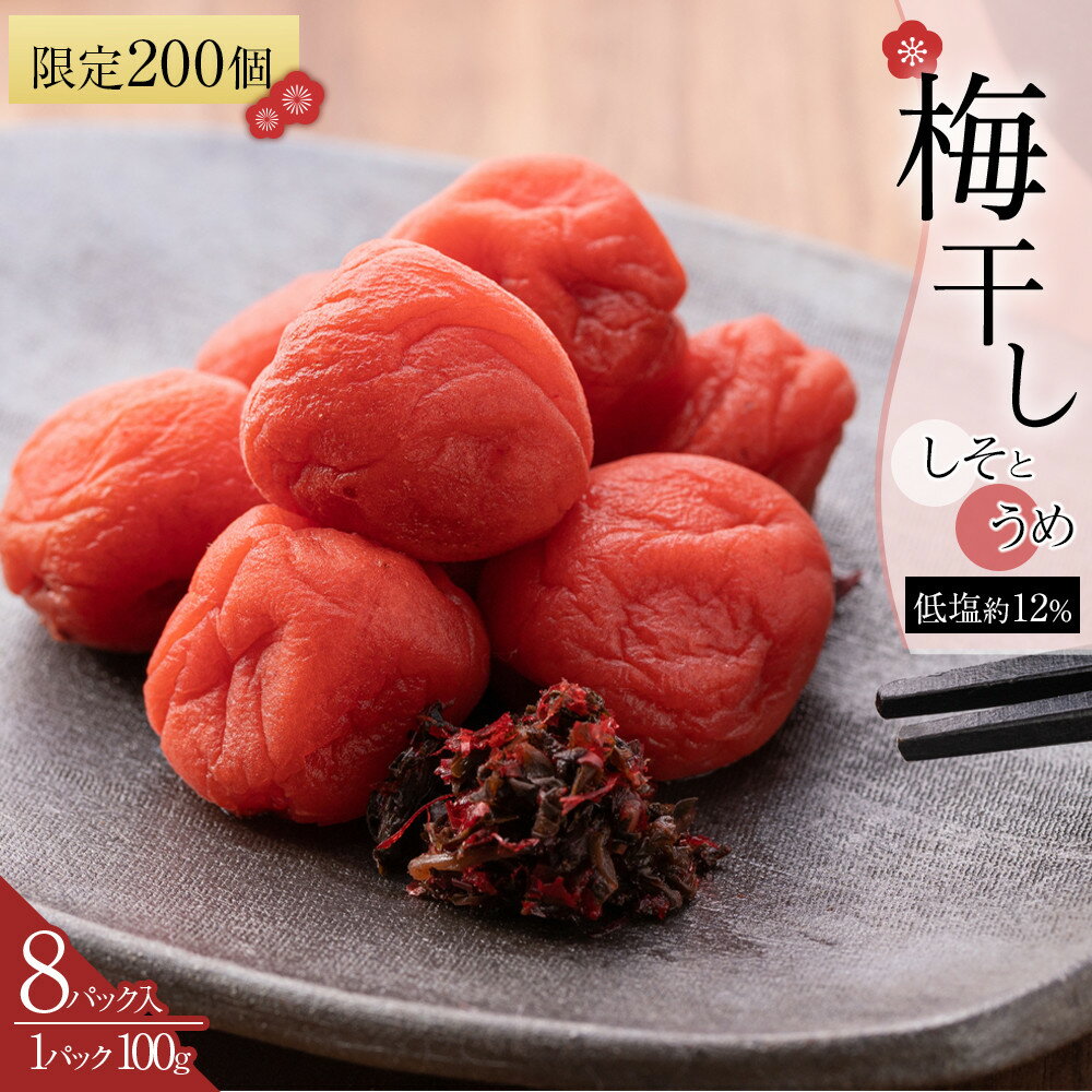 【ふるさと納税】角田市 岸浪園 梅干し しそとうめ 低塩約12％ 100g 8パック入り 限定200個 | 梅干 食品 加工食品 人気 おすすめ 送料無料