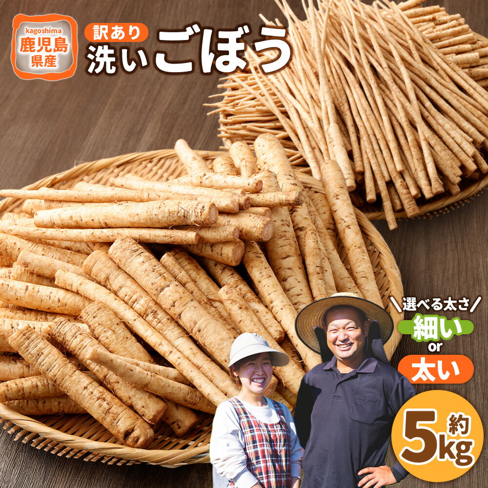 【ふるさと納税】鹿児島県産 洗い ごぼう 約5kg 【選べるサイズ】( 細い / 太い )【規格外・訳あり品】 ゴボウ 牛蒡 野菜 やさい 根菜 鹿児島県 薩摩川内市 送料無料 【2026年12月上旬-3月下旬発送予定】