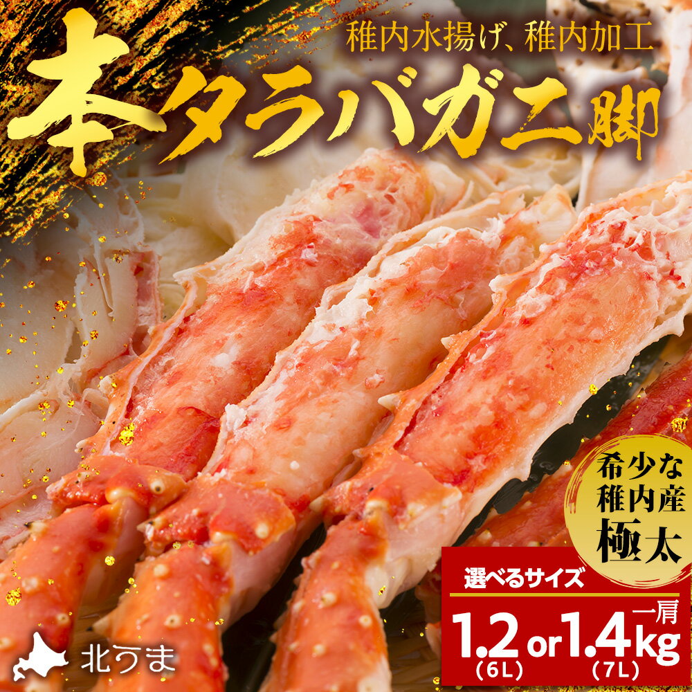【ふるさと納税】【希少な稚内産】極太 本タラバガニ脚 1肩 選べるサイズ 6L 1.2kg～7L 1.4kgたらばがに タラバガニ たらば蟹 たらばガニ 蟹 カニ ボイルタラバ タラバ足 タラバ脚 北海道ふるさと納税 稚内 ふるさと納税 北海道