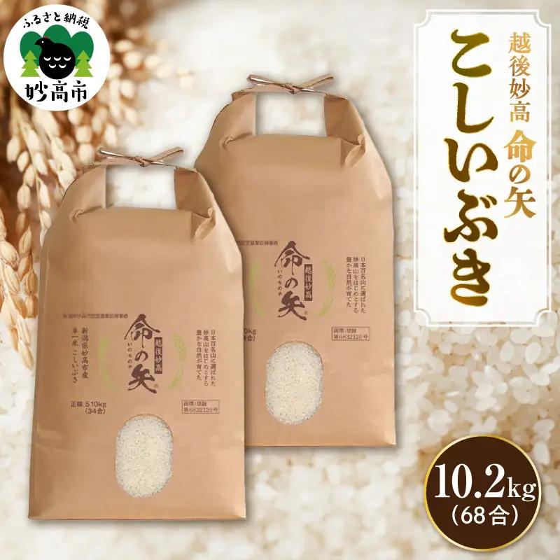 先行予約 令和8年産 越後妙高命の矢 こしいぶき 10.2kg 妙高産