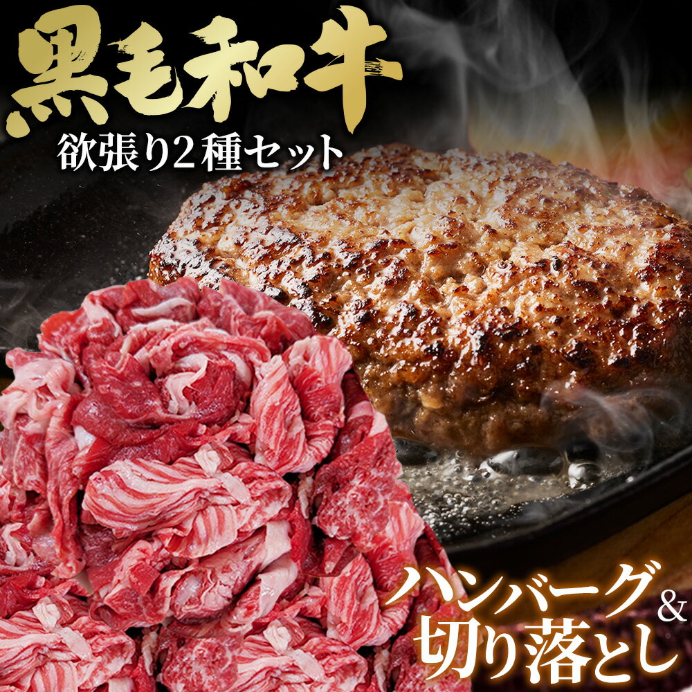 【ふるさと納税】黒毛和牛欲張りセット 切り落とし 250g ハンバーグ 120g 8個［No.433］
