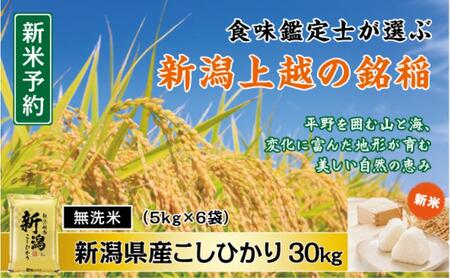 令和7年産 先行予約 食味鑑定士厳選 新潟県産こしひかり 無洗米 30kg 上越市 米 コメ コシヒカリ