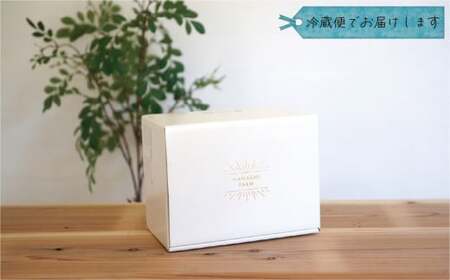 【2026年先行予約】岡山 花笑み農園の訳あり『BKシードレス』1kg 【hana062-02】