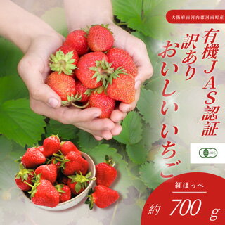 【ふるさと納税】 訳あり　おいしいいちご　有機JAS認証いちご　700g　36粒 ／ 苺 果物 フルーツ 完熟いちご 有機いちご 自然栽培 オーガニック 香り豊か 甘酸っぱい わけあり 家庭用 国産 河南町産 大阪府 特産 送料無料 No.406