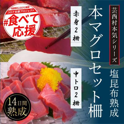 ふるさと納税 芸西村 芸西村本気シリーズ!『塩熟成昆布〆本マグロ(赤身&amp;中トロ)セット柵』【KGP021】