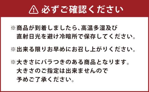 【2023年10月上旬発送開始】 産地直送！ さつまいも シルクスイート 紅はるか 約10kg 熊本県 益城町産 焼き芋 ふかし芋 大学芋