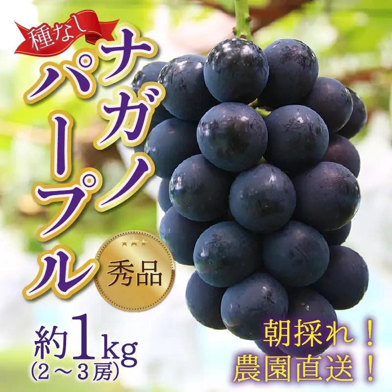 【先行予約】【種なし】【朝採れ】【秀品】上野梨園のナガノパープル 約1kg 農園直送【上野の葡萄】 / ぶどう フルーツ 果物 くだもの 贈答 お土産 種なし 旬 皮ごと食べる ポリフェノール 美容 レスベラトロール ぶどう狩り 巨峰  甘い 大粒 新鮮 濃厚※2026年8月下旬より順次発送 [aw077-a023]