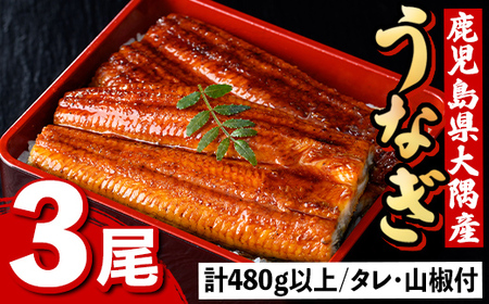 【B57002】うなぎ蒲焼・大(有頭)(3尾・計480g以上)(タレ・山椒付)鹿児島 国産 鰻 うなぎ ウナギ 蒲焼き うな丼 うな重 ひつまぶし 土用の丑の日 真空パック お土産 贈答 ギフト プレ