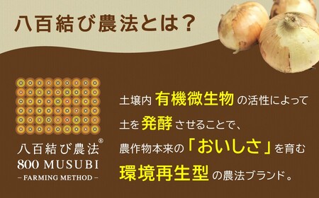 【食品ロス削減】（訳あり）笑顔で笑顔を作る武ちゃん農場の新玉ねぎ“玉笑ちゃん” 9個　H095-030