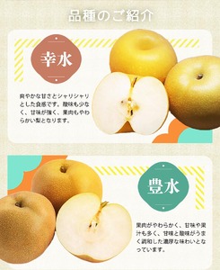 紀州和歌山産の梨 約2kg 化粧箱入◇ ｜梨 梨 梨 梨 梨 梨 梨※離島への配送不可 ※2026年8月中旬頃〜2026年9月上旬頃に順次発送予定